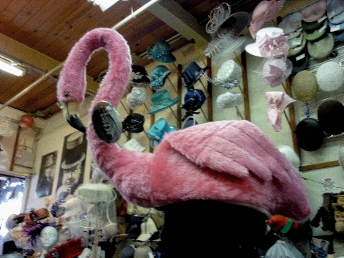 Pink_Flamingo1.jpg