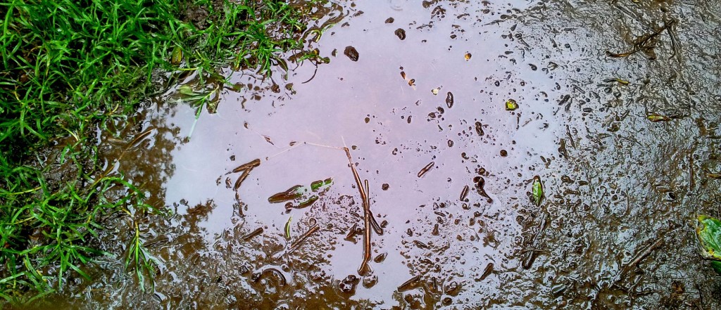 Muddy puddle