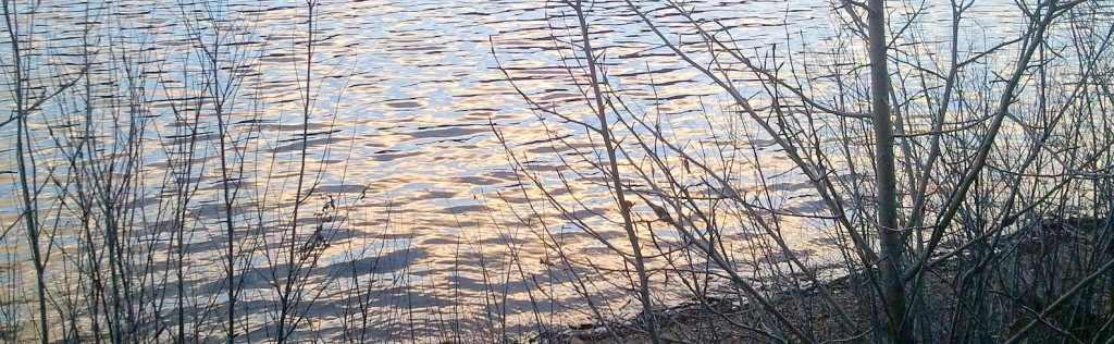 Late afternoon light on Lake Siskiyou.