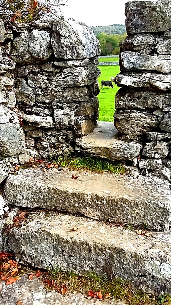 stone wall gate