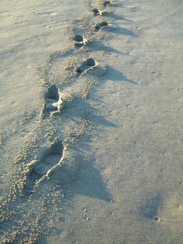 Footprints_in_the_sand.jpg