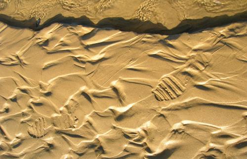 footprintsandwater.jpg