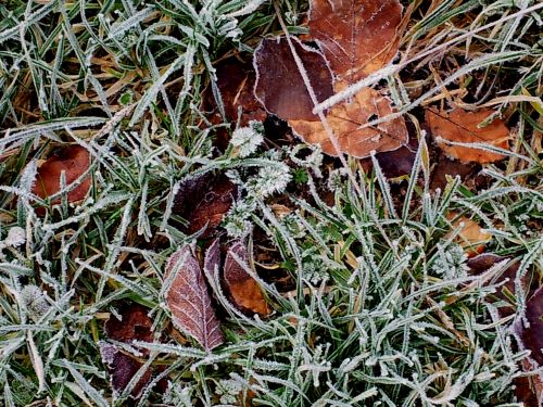 ground_frost1.jpg