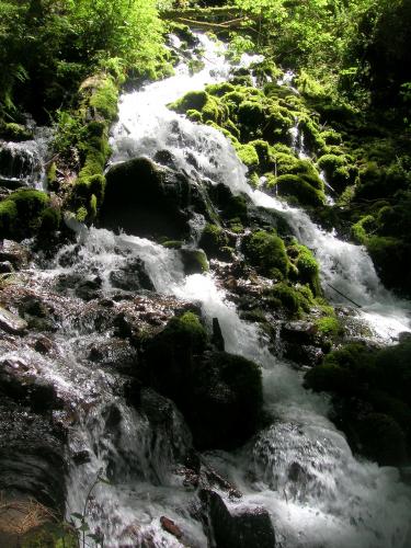 waterfall_columbia_river_gorge.jpg